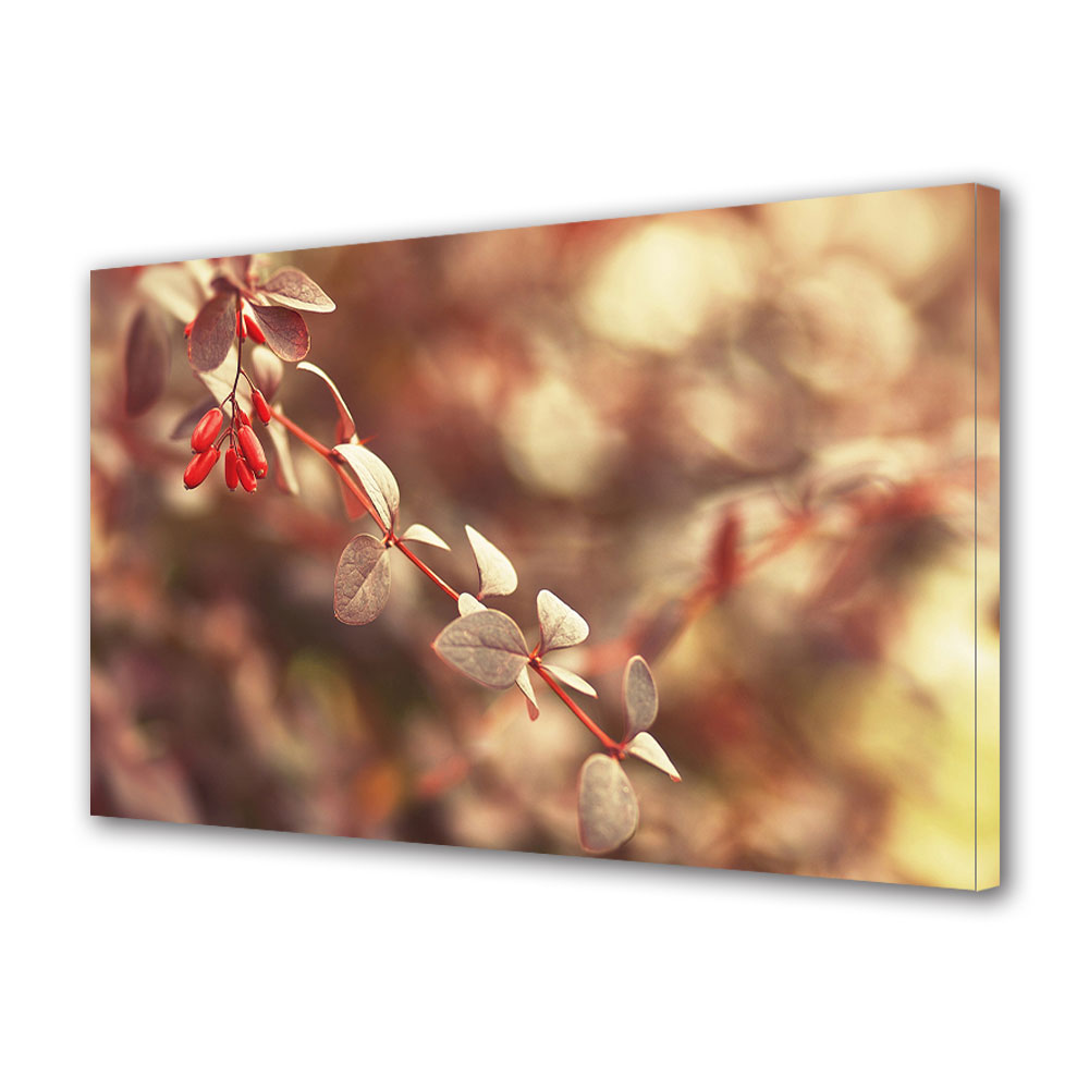 Tablou Canvas Luminos in intuneric VarioView LED, Toamna, Ramura rosie, 30 x 45 cm