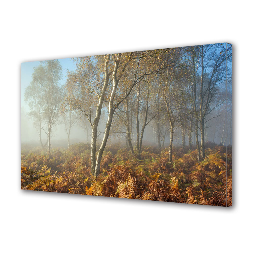 Tablou Canvas Luminos in intuneric VarioView LED, Toamna, Ceata printre ferigi, 40 x 60 cm