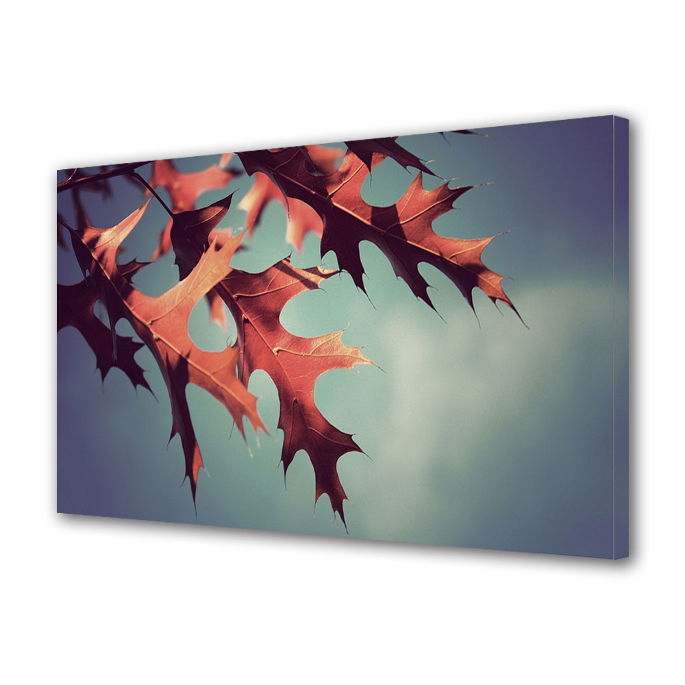Tablou Canvas Luminos in intuneric VarioView LED, Toamna, Lumini si umbre, 30 x 45 cm