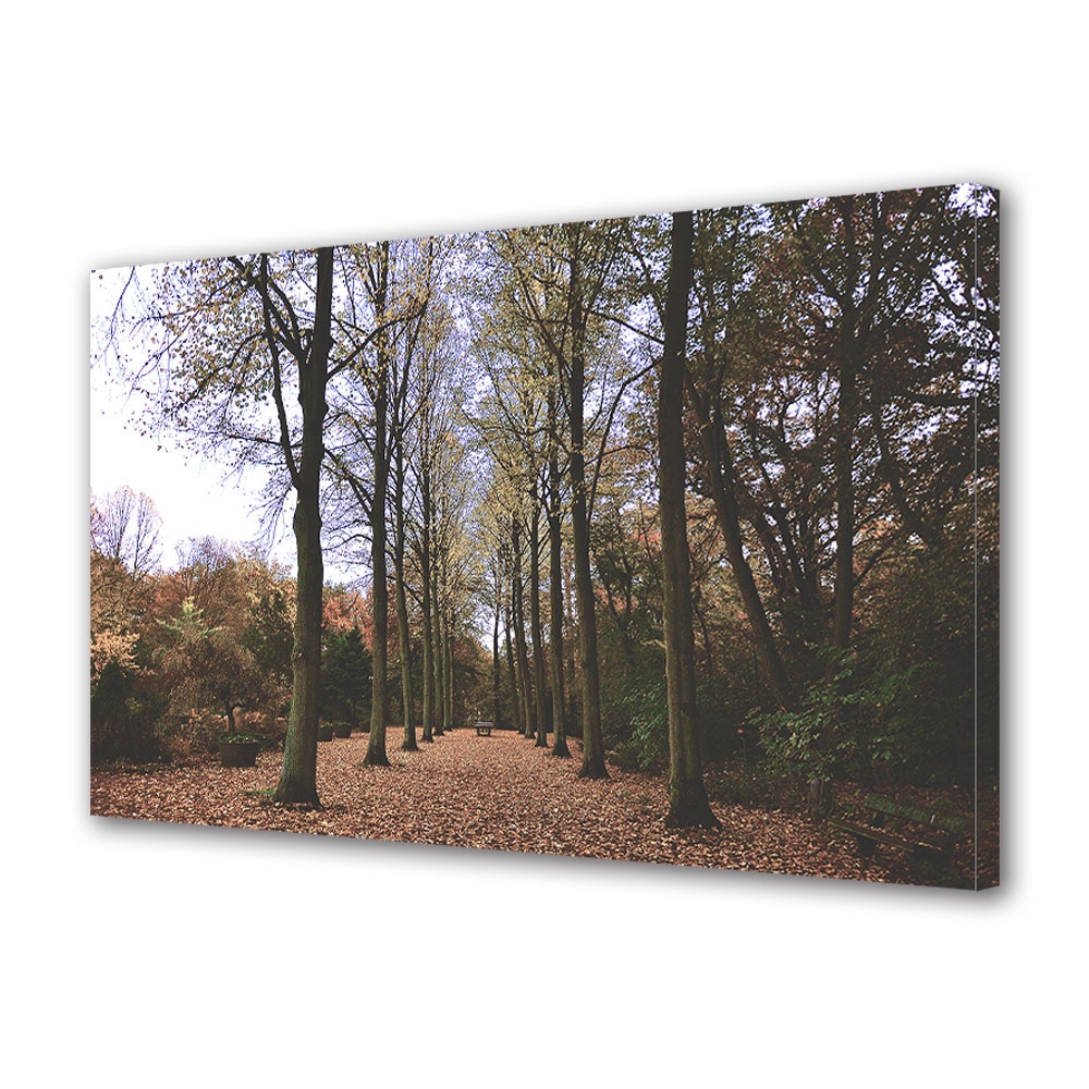 Tablou Canvas Luminos in intuneric VarioView LED, Toamna, Aleea singuratica, 40 x 60 cm