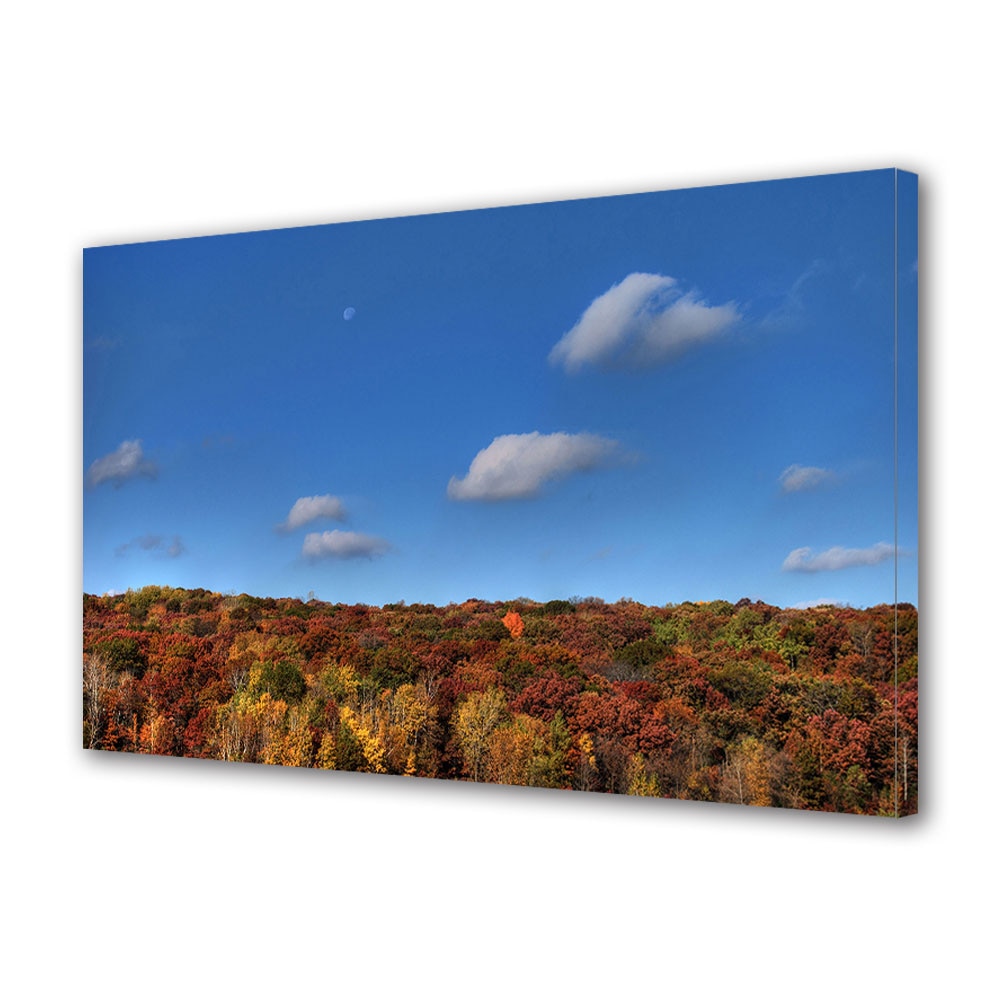 Tablou Canvas Luminos in intuneric VarioView LED, Toamna, Luna peste padure, 40 x 60 cm