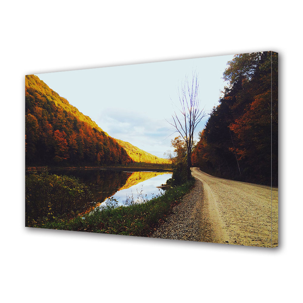 Tablou Canvas Luminos in intuneric VarioView LED, Toamna, La marginea drumului, 30 x 45 cm