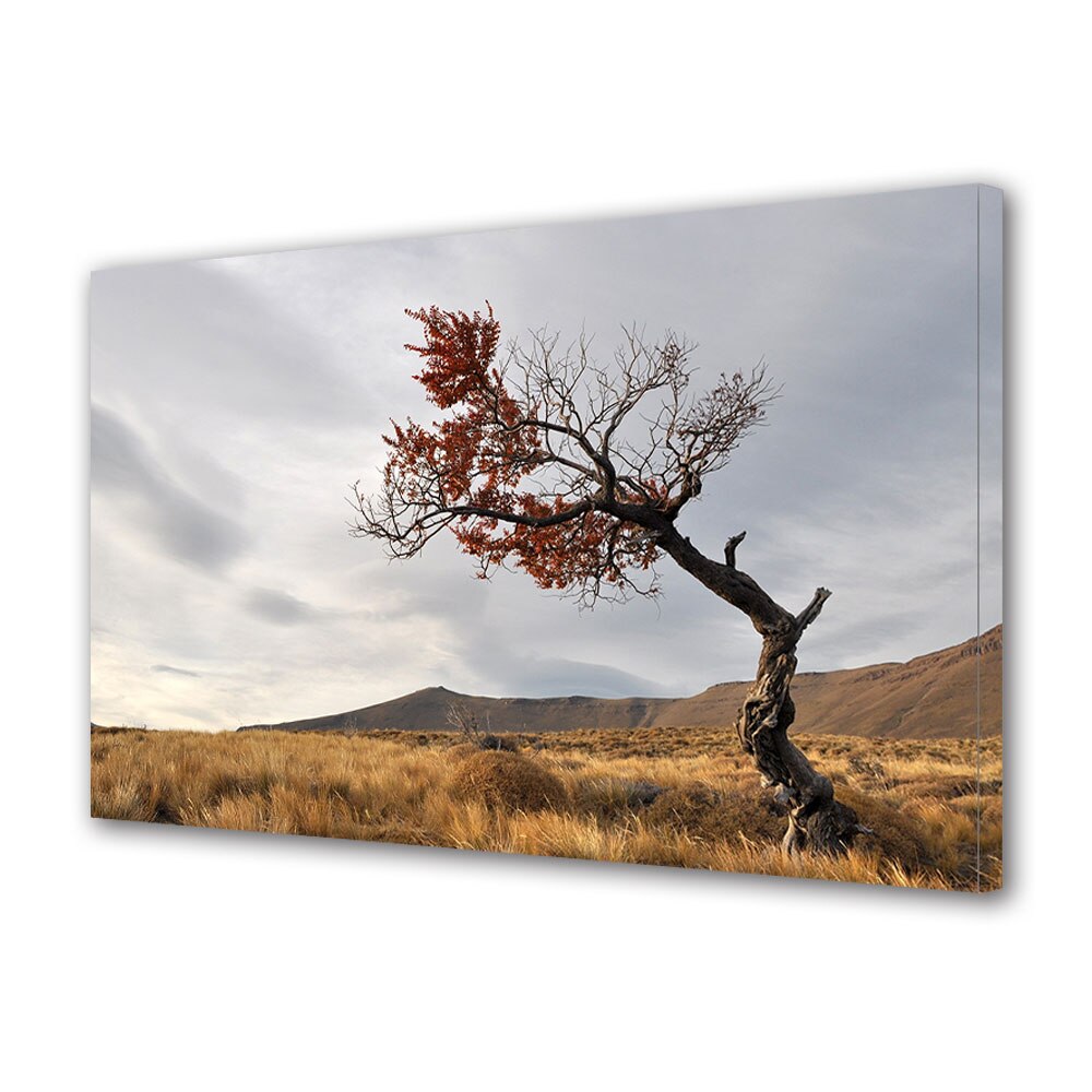 Tablou Canvas Luminos in intuneric VarioView LED, Toamna, Copac singuratic, 30 x 45 cm