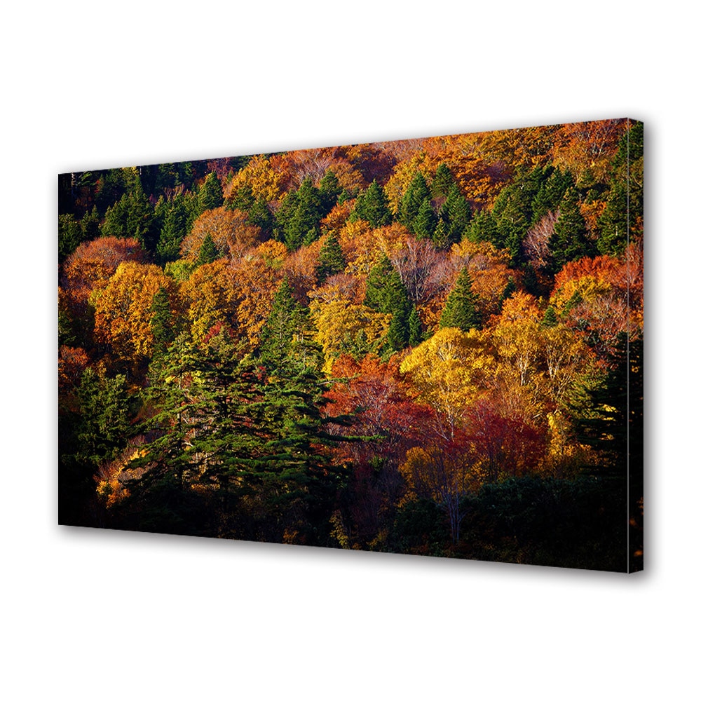 Tablou Canvas Luminos in intuneric VarioView LED, Toamna, Varfuri de copaci, 30 x 45 cm