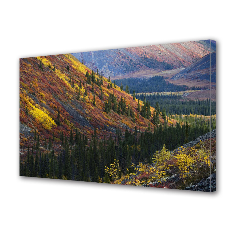 Tablou Canvas Luminos in intuneric VarioView LED, Toamna, Padure de molizi, 30 x 45 cm