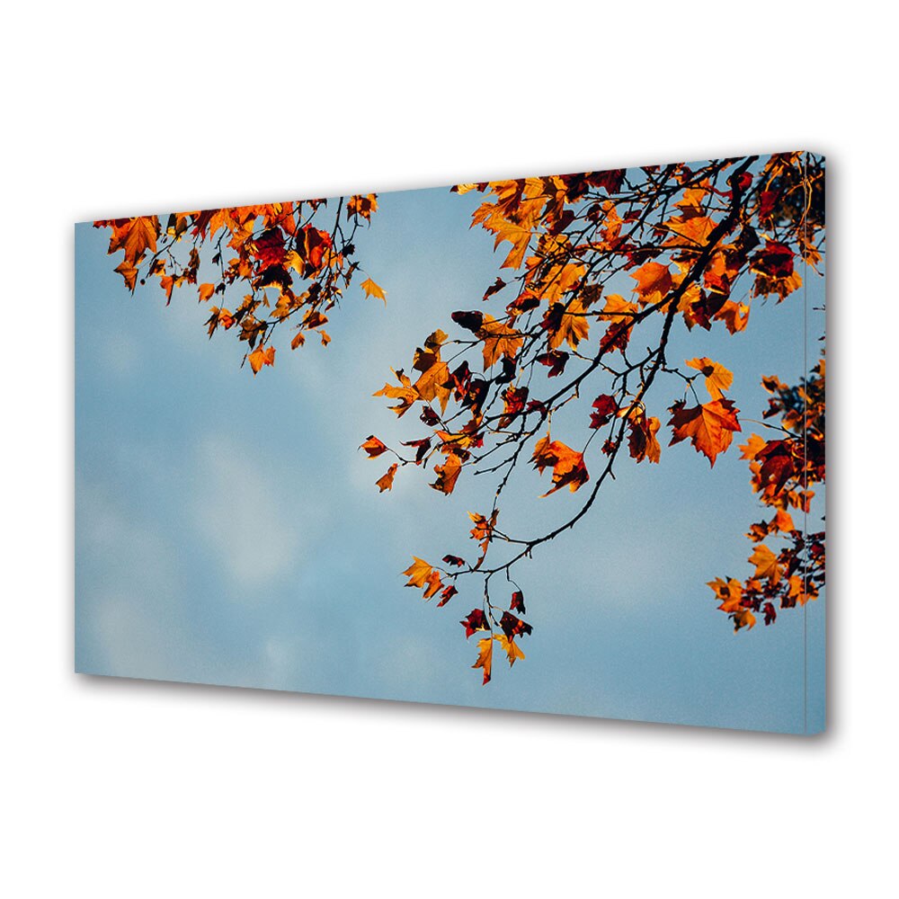 Tablou Canvas Luminos in intuneric VarioView LED, Toamna, Ramuri spre cer, 40 x 60 cm