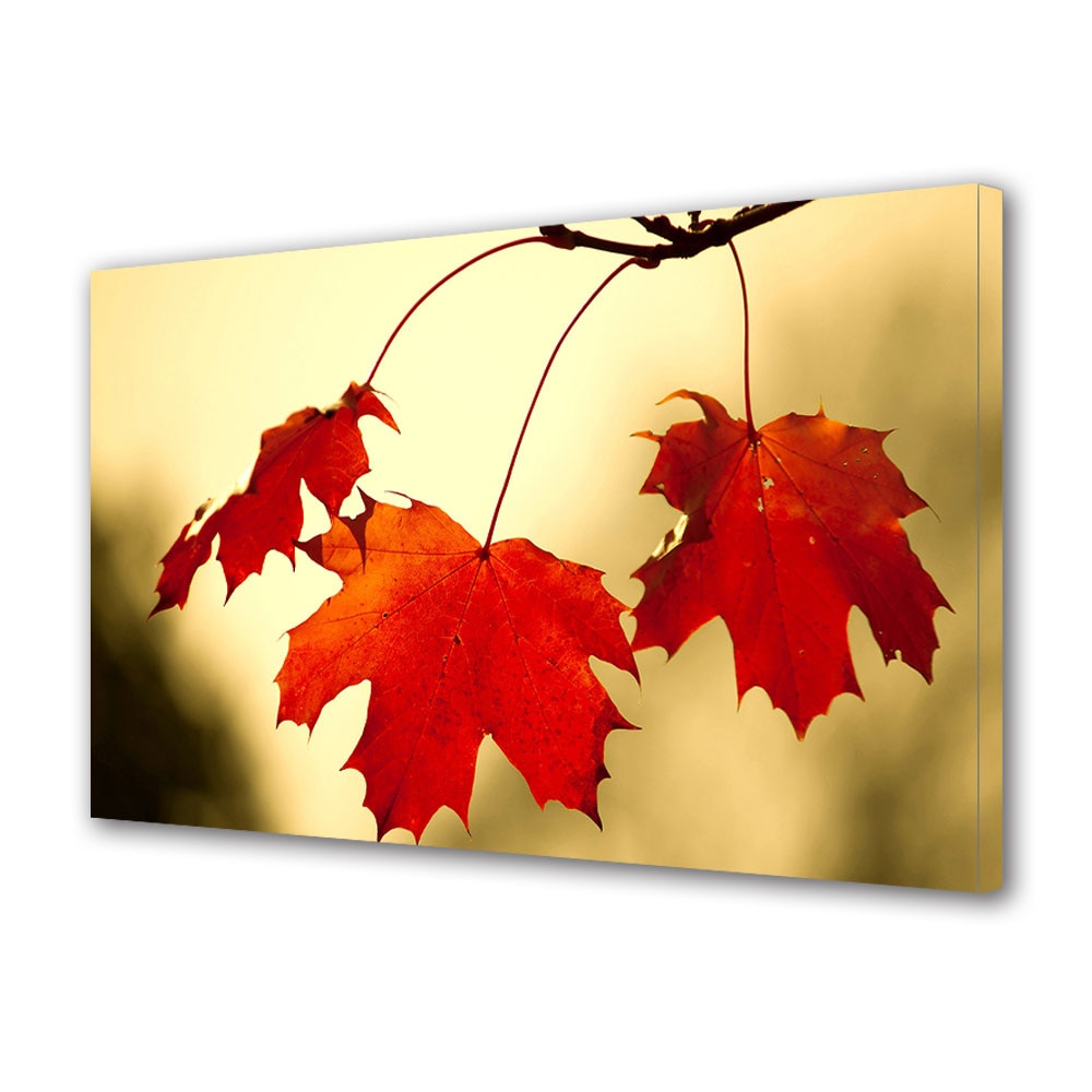 Tablou Canvas Luminos in intuneric VarioView LED, Toamna, Trei frunze in lumina, 30 x 45 cm