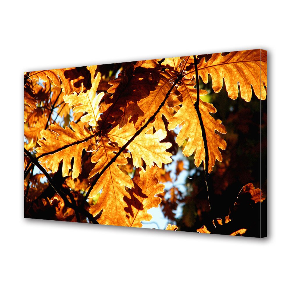 Tablou Canvas Luminos in intuneric VarioView LED, Toamna, Formele naturii, 40 x 60 cm
