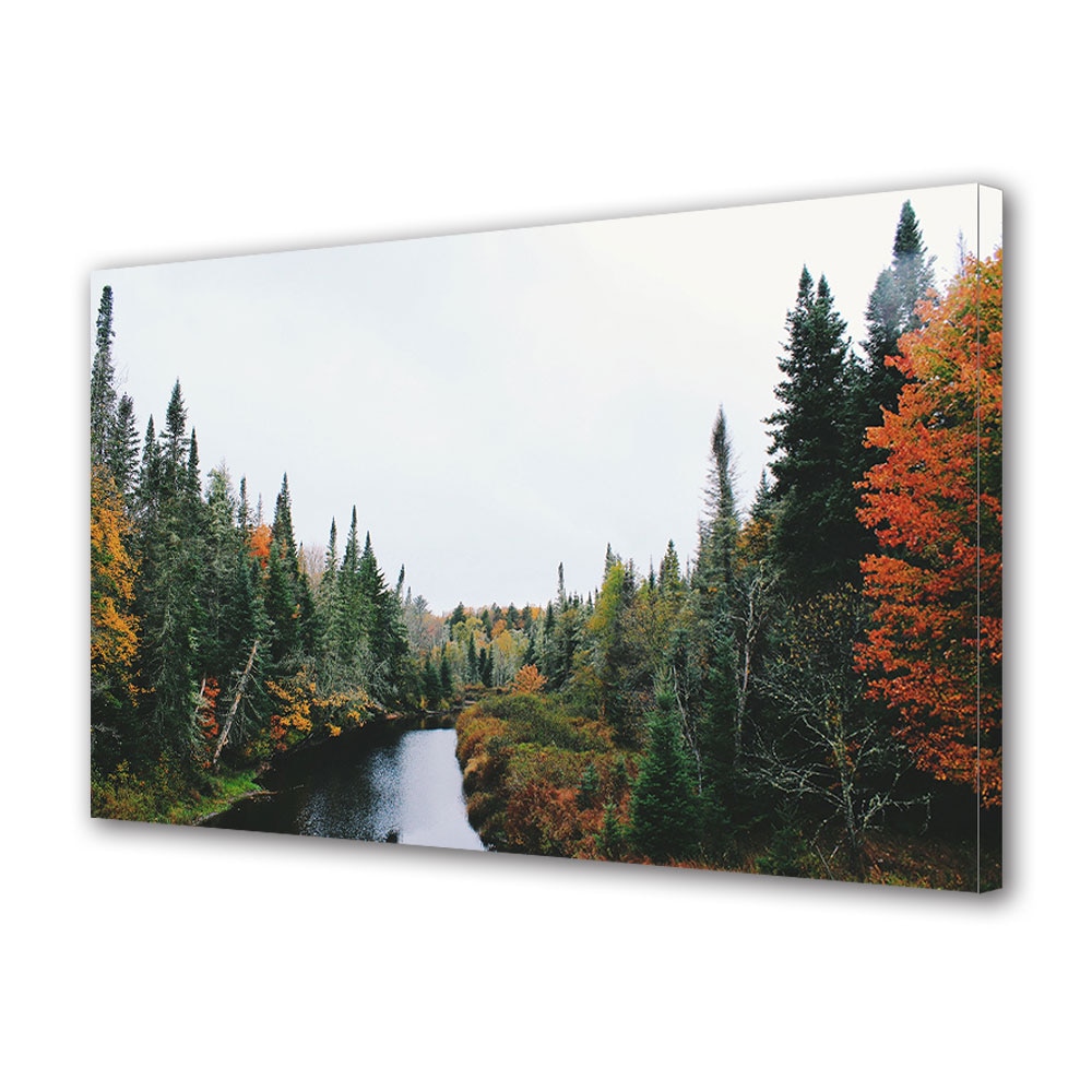 Tablou Canvas Luminos in intuneric VarioView LED, Toamna, Padure de brazi, 40 x 60 cm