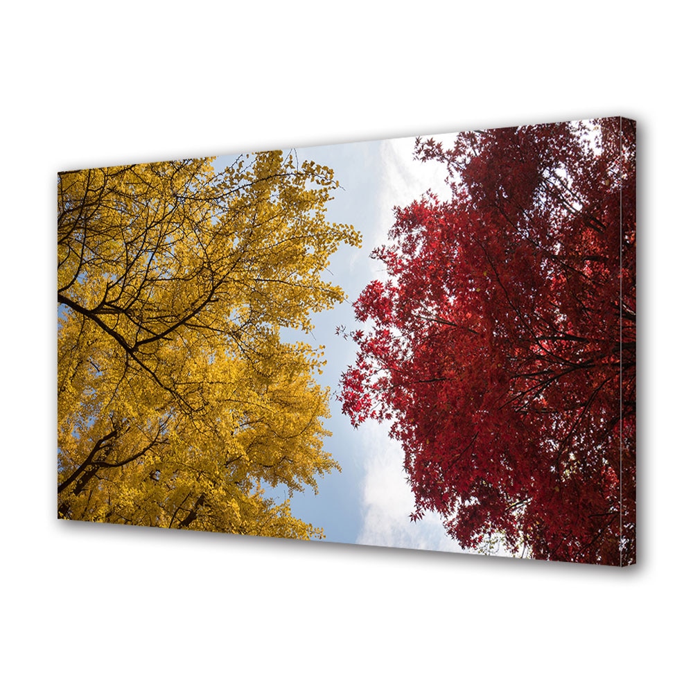 Tablou Canvas Luminos in intuneric VarioView LED, Toamna, Auriu si rosu, 40 x 60 cm