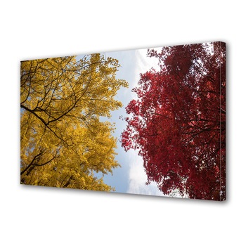 Imagini HEARTWORK TCLTM_30_45_249 - Compara Preturi | 3CHEAPS