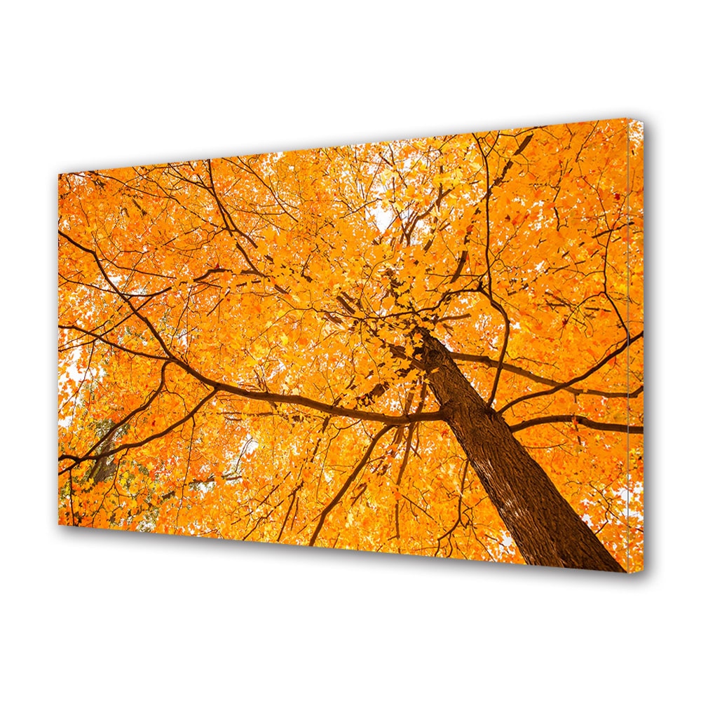 Tablou Canvas Luminos in intuneric VarioView LED, Toamna, Privind spre coroana copacului, 30 x 45 cm