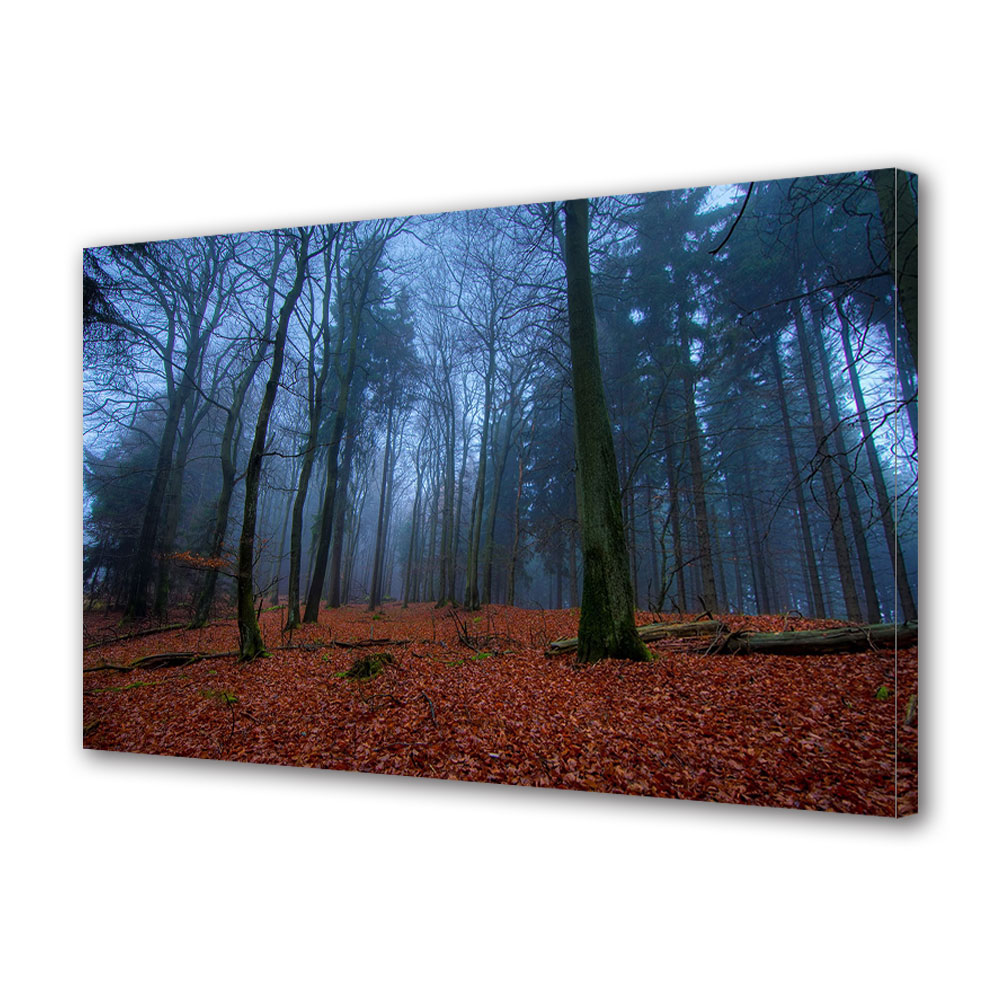 Tablou Canvas Luminos in intuneric VarioView LED, Toamna, Padurea albastra, 30 x 45 cm