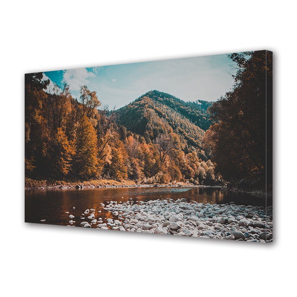 Tablou Canvas Luminos in intuneric VarioView LED, Toamna, Petre albe, 30 x 45 cm