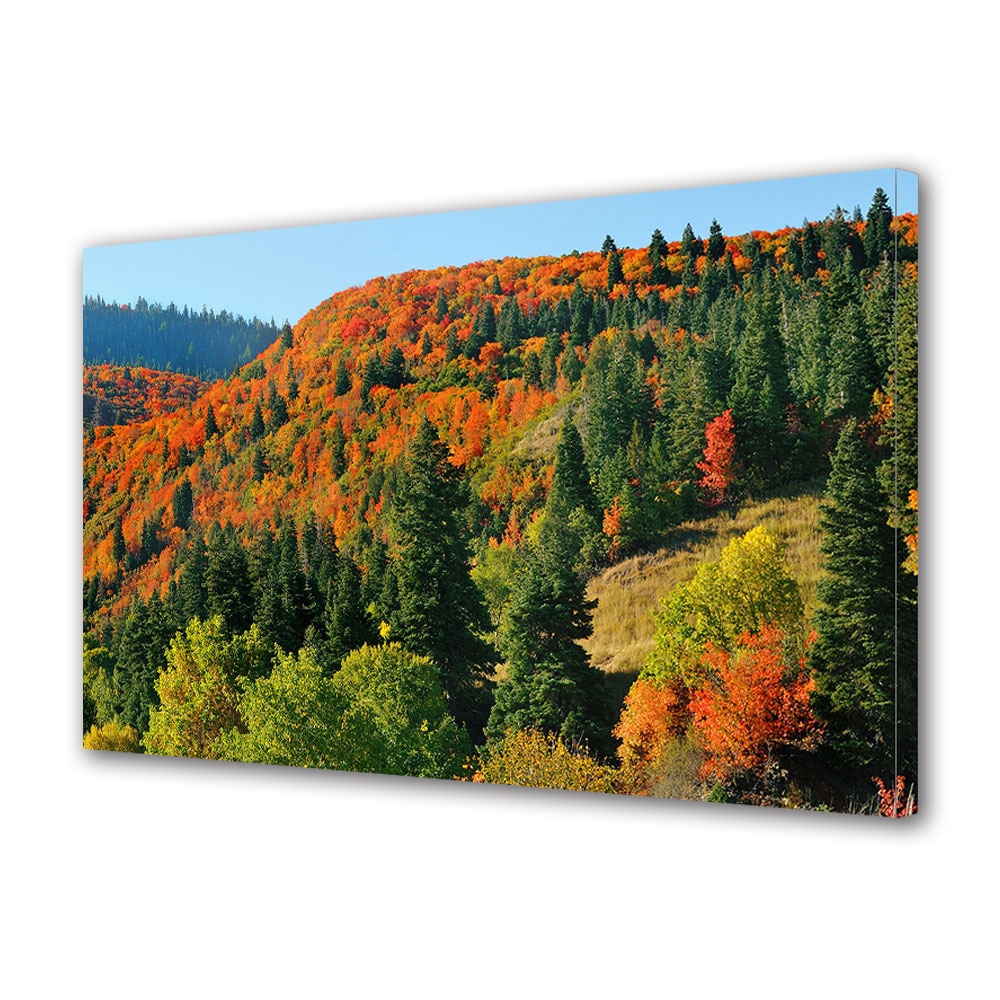 Tablou Canvas Luminos in intuneric VarioView LED, Toamna, Deal scaldat in lumina, 40 x 60 cm