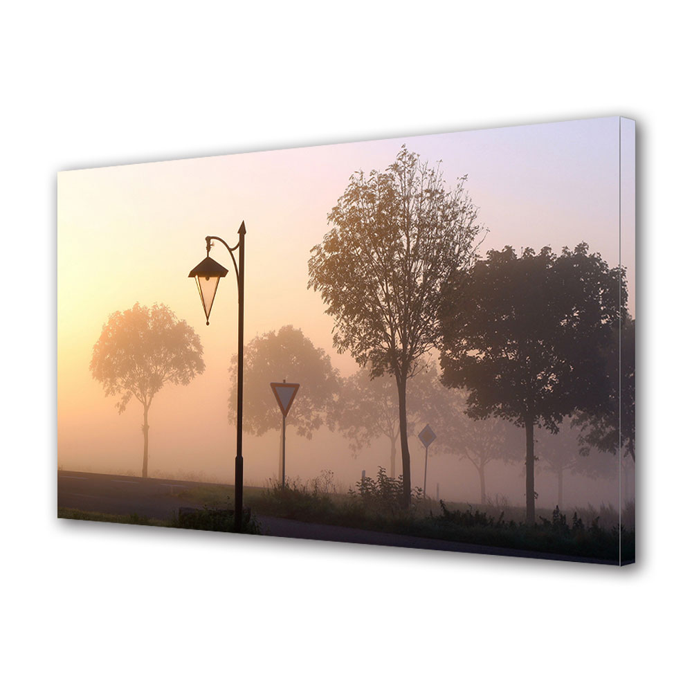 Tablou Canvas Luminos in intuneric VarioView LED, Toamna, Ceata pe drum, 30 x 45 cm