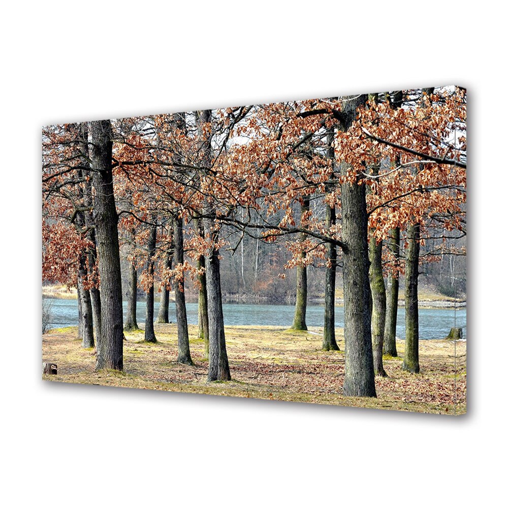 Tablou Canvas Luminos in intuneric VarioView LED, Toamna, Drumul spre rau, 40 x 60 cm