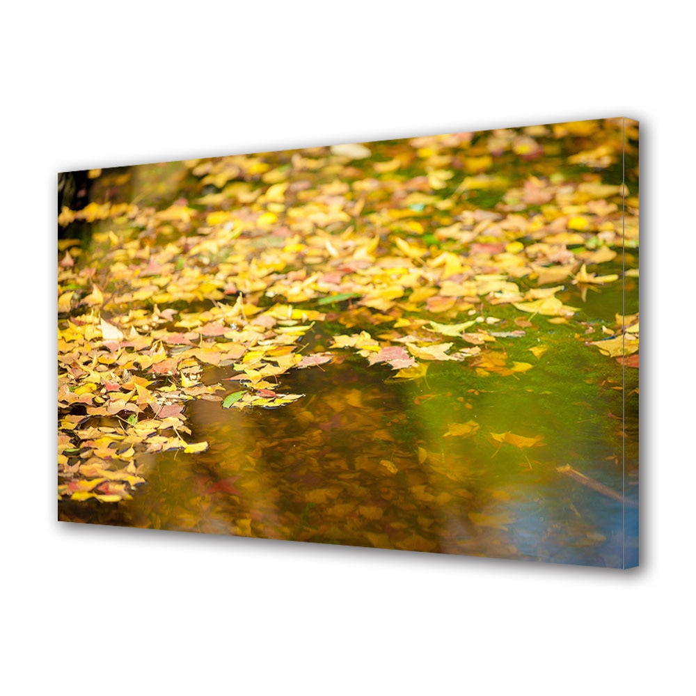 Tablou Canvas Luminos in intuneric VarioView LED, Toamna, Spre fundul lacului, 40 x 60 cm