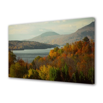 Tablou Canvas Luminos in intuneric VarioView LED, Toamna, Raul peste varfurile copacilor, 30 x 45 cm Tablou Canvas Luminos in intuneric VarioView LED, Toamna, Raul peste varfurile copacilor, 30 x 45 cm
