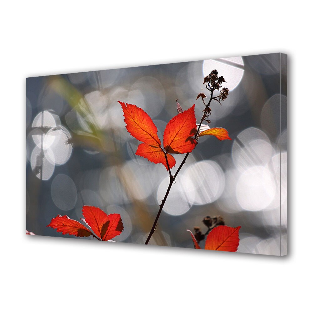 Tablou Canvas Luminos in intuneric VarioView LED, Toamna, Trandafir uscat, 30 x 45 cm