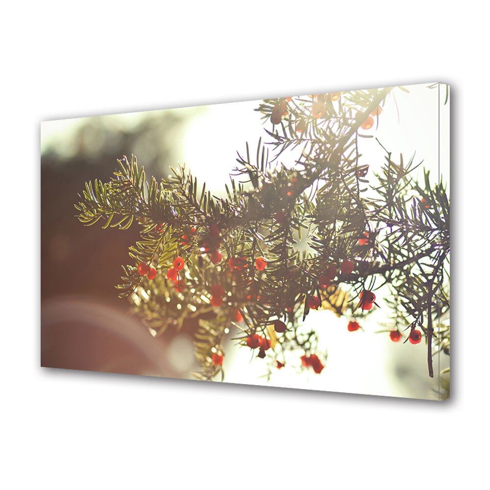 Tablou Canvas Luminos in intuneric VarioView LED, Toamna, Fruncte de conifere, 30 x 45 cm