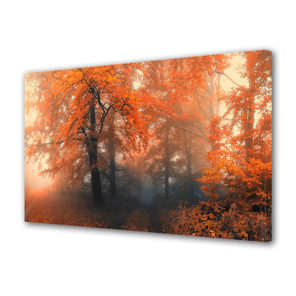 Tablou Canvas Luminos in intuneric VarioView LED, Toamna, Padure incetosata, 30 x 45 cm