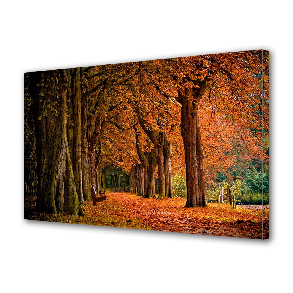 Tablou Canvas Luminos in intuneric VarioView LED, Toamna, Bancute pustii sub frunze, 40 x 60 cm