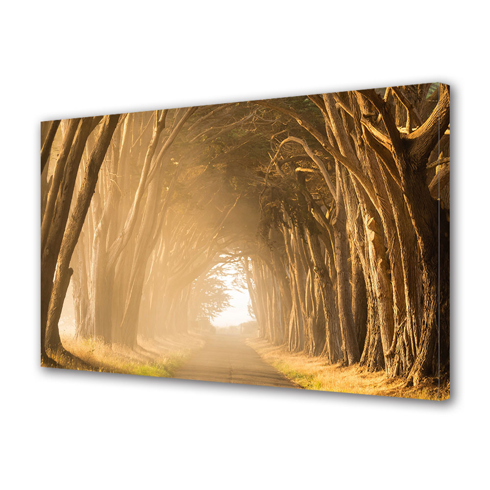 Tablou Canvas Luminos in intuneric VarioView LED, Toamna, Imbratisarea copacilor, 40 x 60 cm