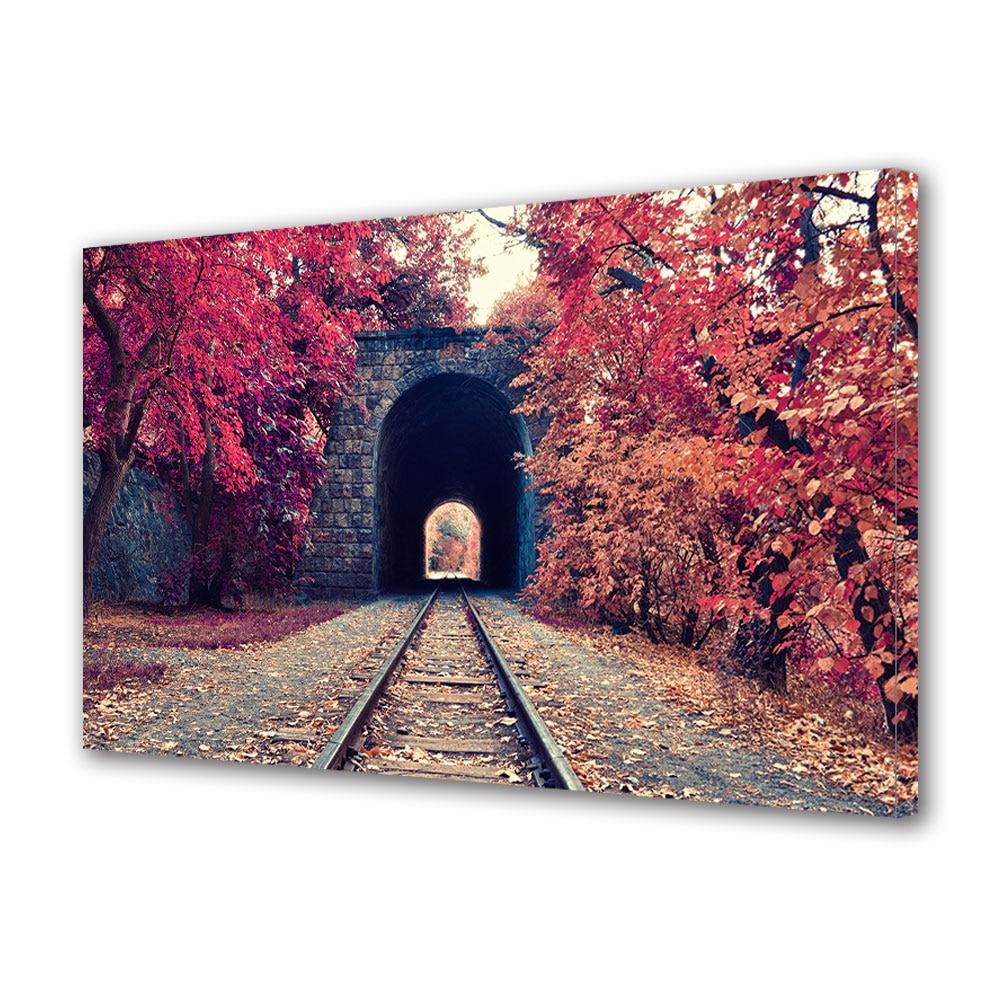 Tablou Canvas Luminos in intuneric VarioView LED, Toamna, Tunel de piatra, 30 x 45 cm