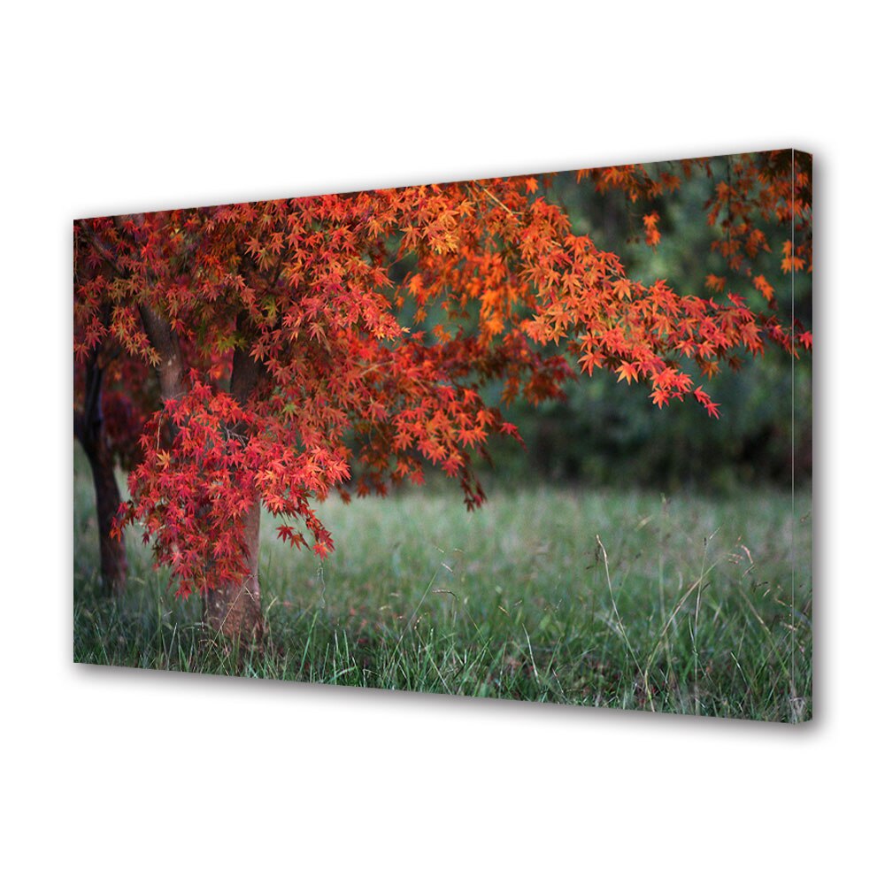 Tablou Canvas Luminos in intuneric VarioView LED, Toamna, Aproape de pamant, 30 x 45 cm