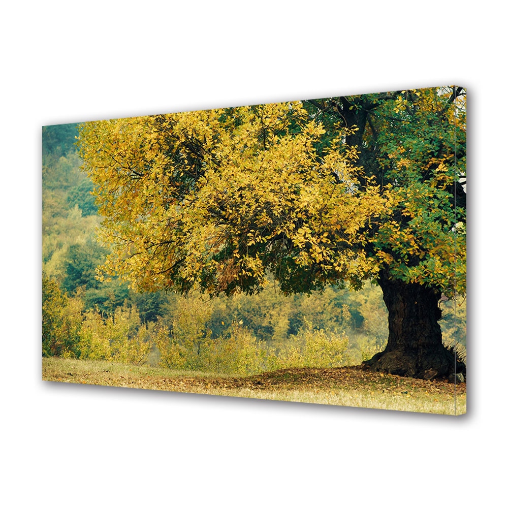 Tablou Canvas Luminos in intuneric VarioView LED, Toamna, Stejar in prag de toamna, 30 x 45 cm