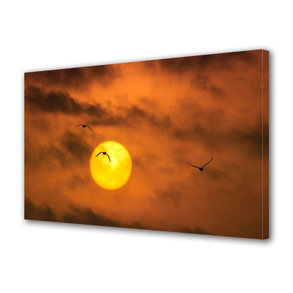 Tablou Canvas Luminos in intuneric VarioView LED, Toamna, Pasari calatoare, 30 x 45 cm