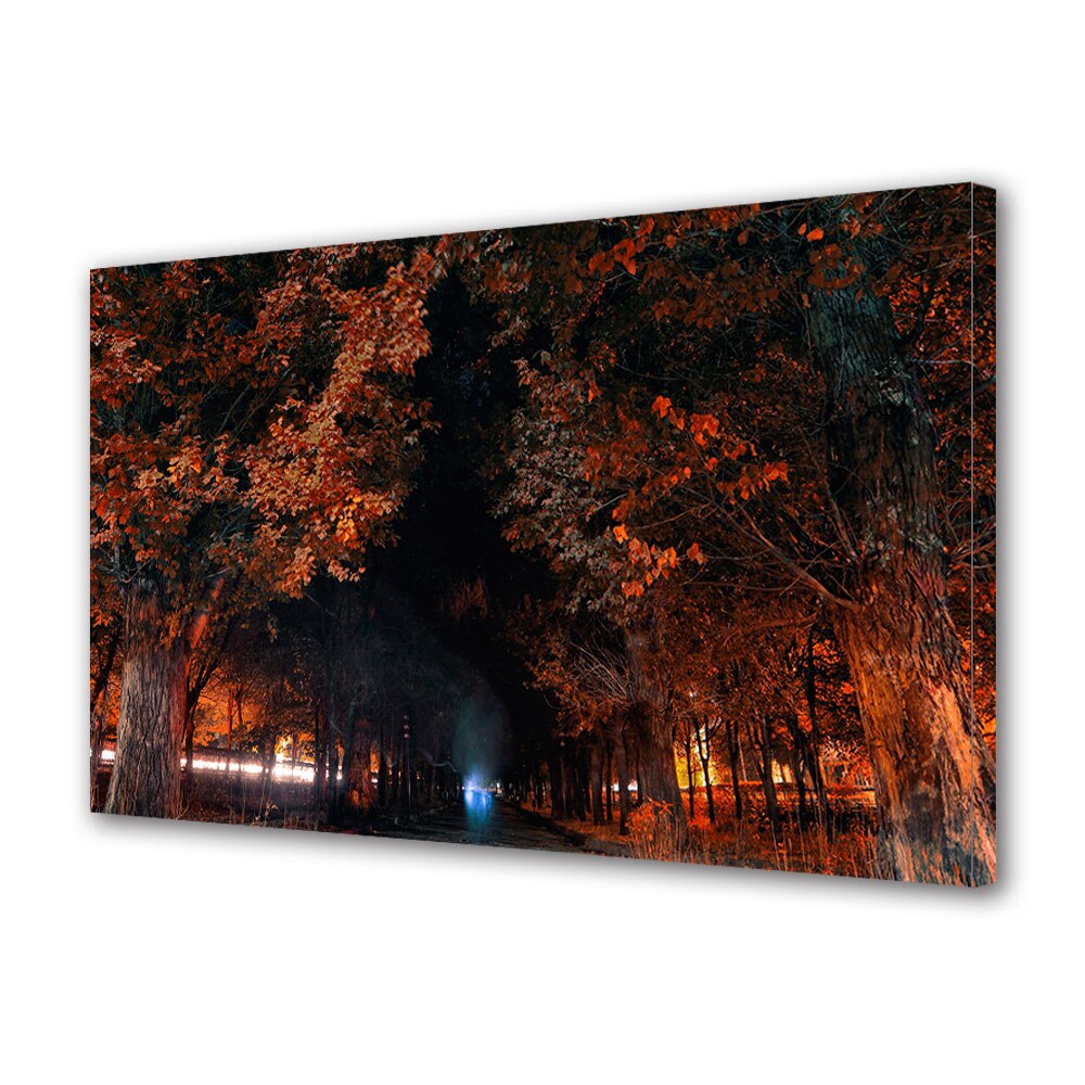 Tablou Canvas Luminos in intuneric VarioView LED, Toamna, Tunel natural intunecat, 30 x 45 cm