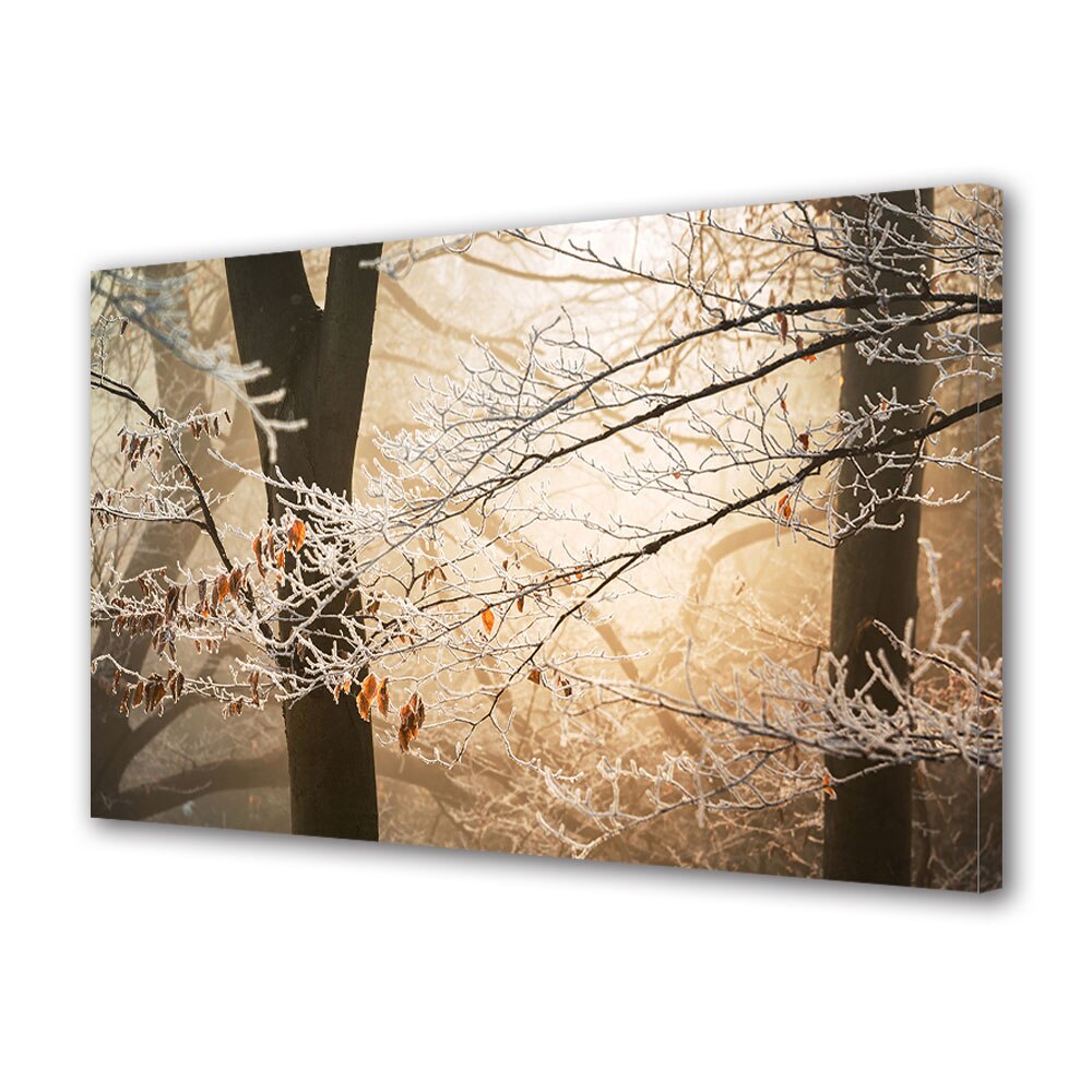 Tablou Canvas Luminos in intuneric VarioView LED, Toamna, Ramuri inghetate, 30 x 45 cm