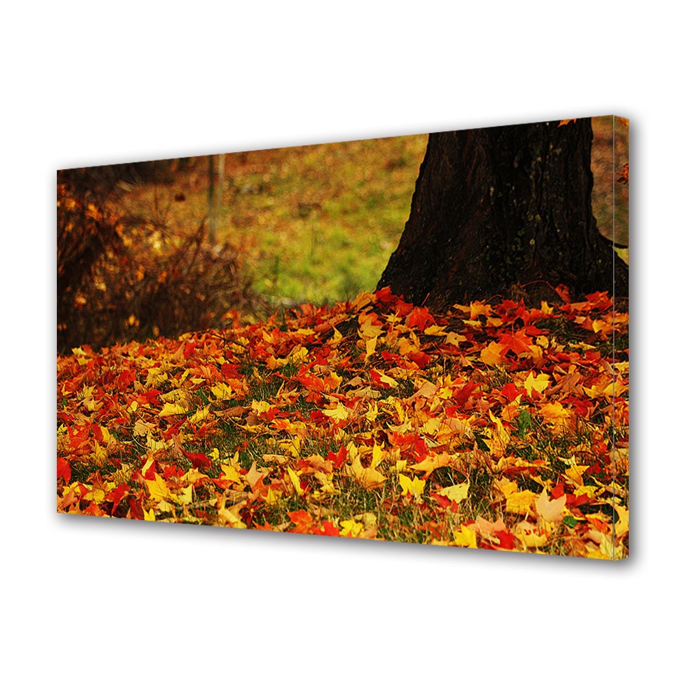 Tablou Canvas Luminos in intuneric VarioView LED, Toamna, Covor multicolor sub copac, 40 x 60 cm