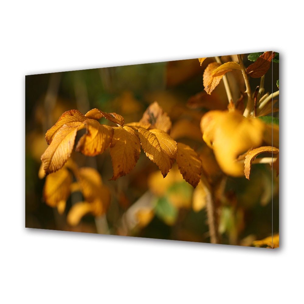 Tablou Canvas Luminos in intuneric VarioView LED, Toamna, Ramura in lumina delicata, 40 x 60 cm