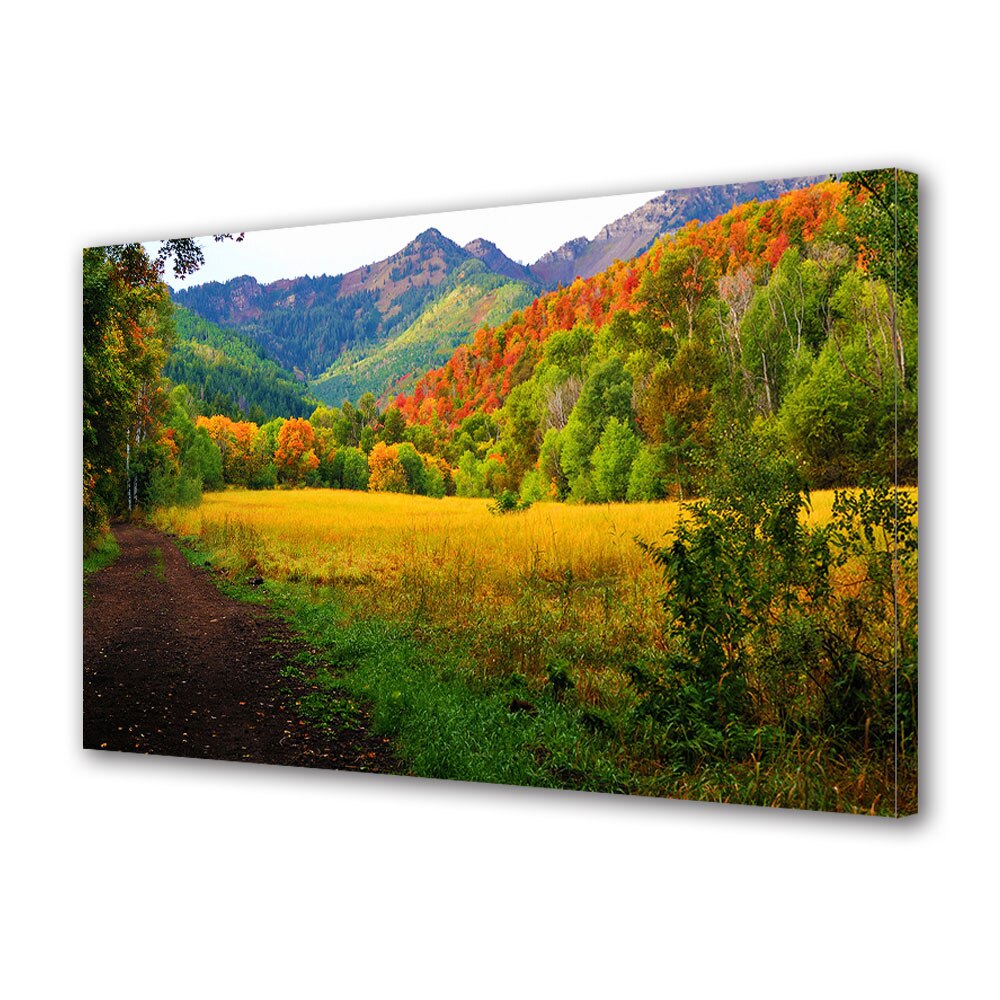 Tablou Canvas Luminos in intuneric VarioView LED, Toamna, Relaxare in poiana, 30 x 45 cm