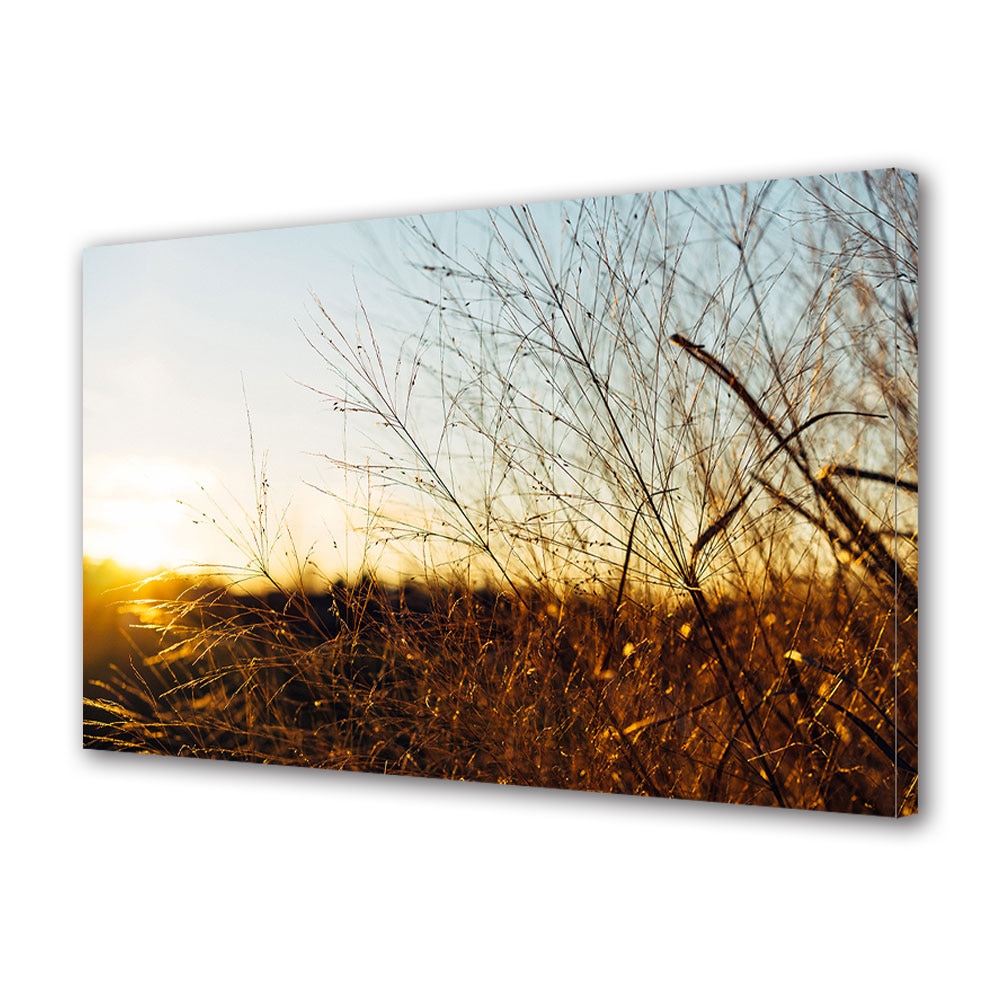 Tablou Canvas Luminos in intuneric VarioView LED, Toamna, Iarba inalta in culori calde, 30 x 45 cm