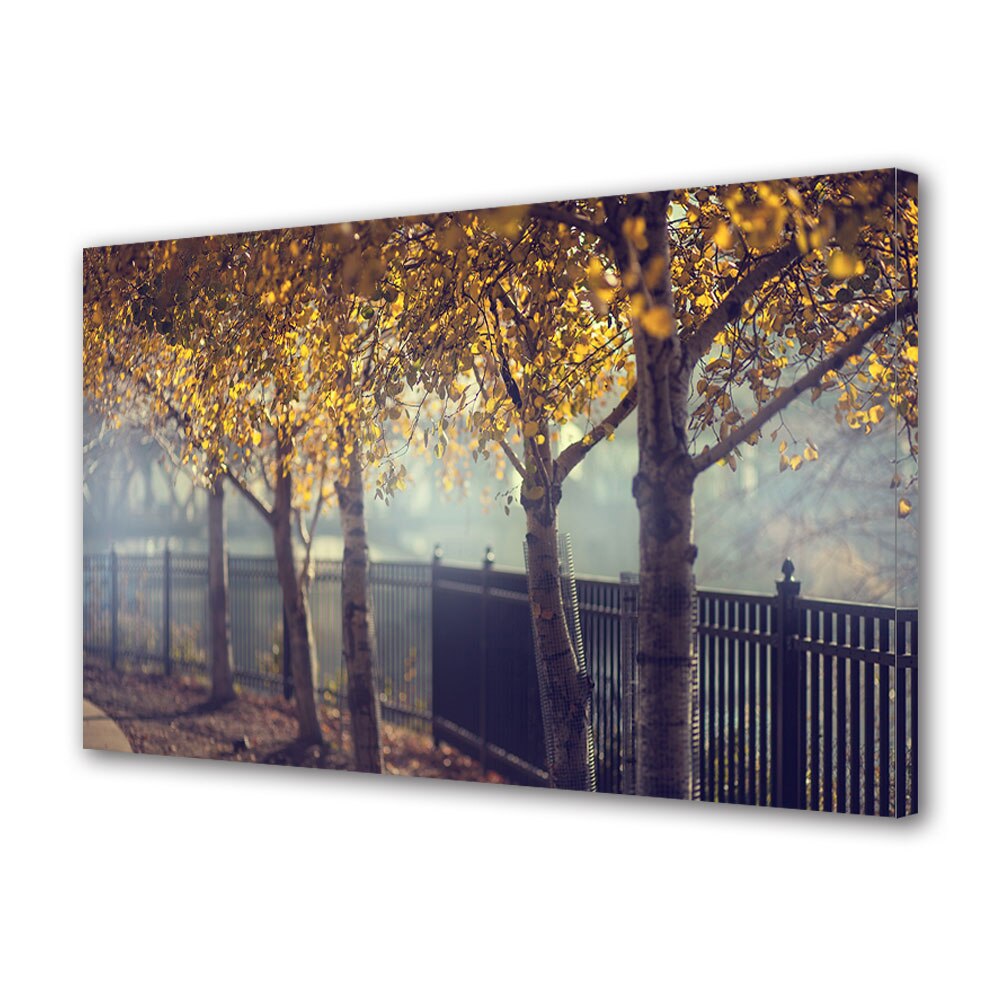Tablou Canvas Luminos in intuneric VarioView LED, Toamna, Rand de arbori langa gard, 40 x 60 cm