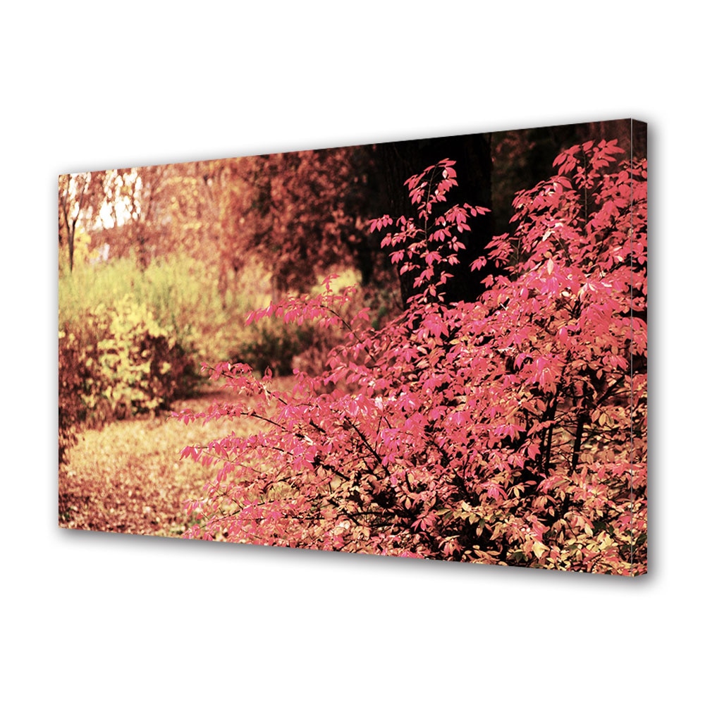 Tablou Canvas Luminos in intuneric VarioView LED, Toamna, Colt de gradina, 40 x 60 cm