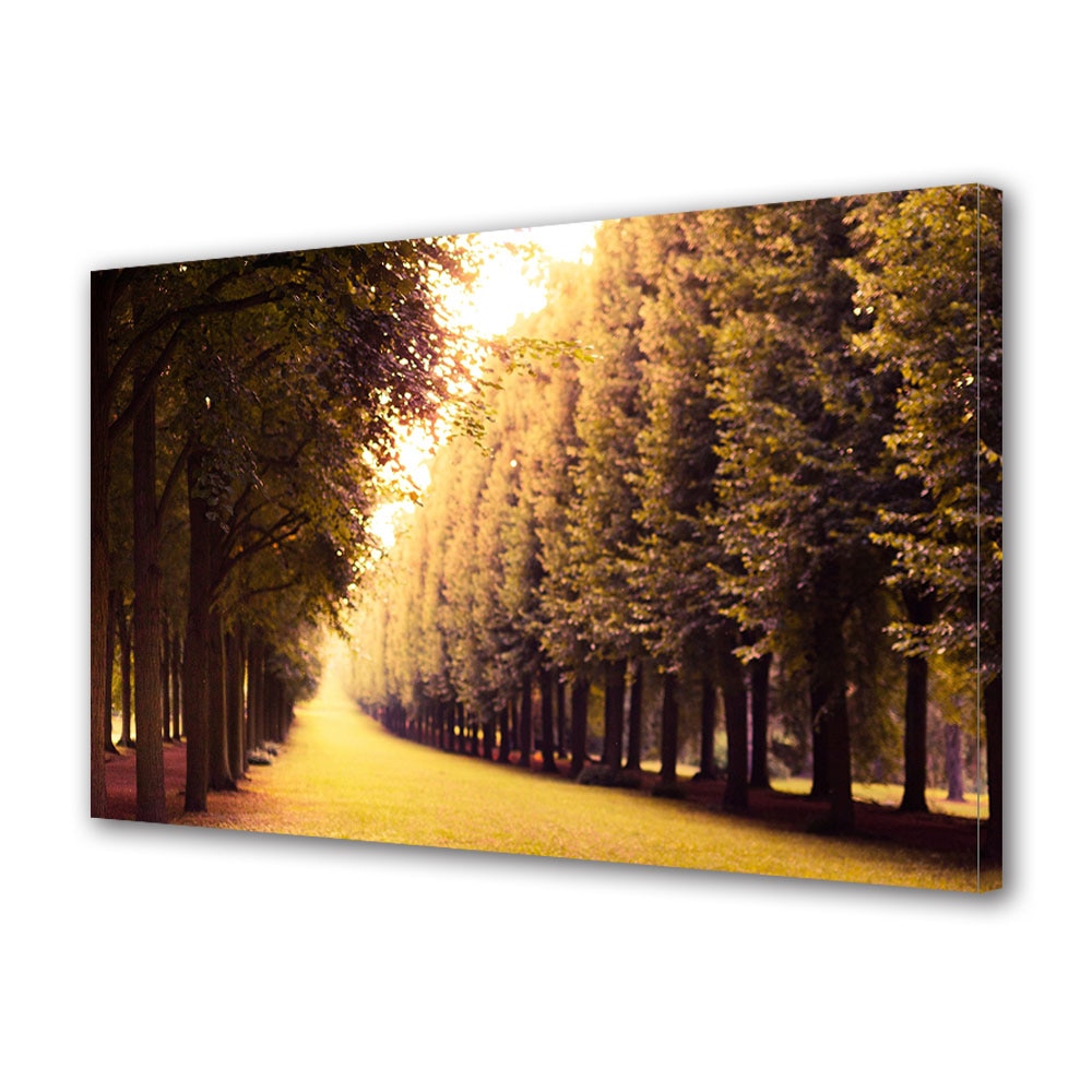 Tablou Canvas Luminos in intuneric VarioView LED, Toamna, Aleea cu lumina calda, 30 x 45 cm