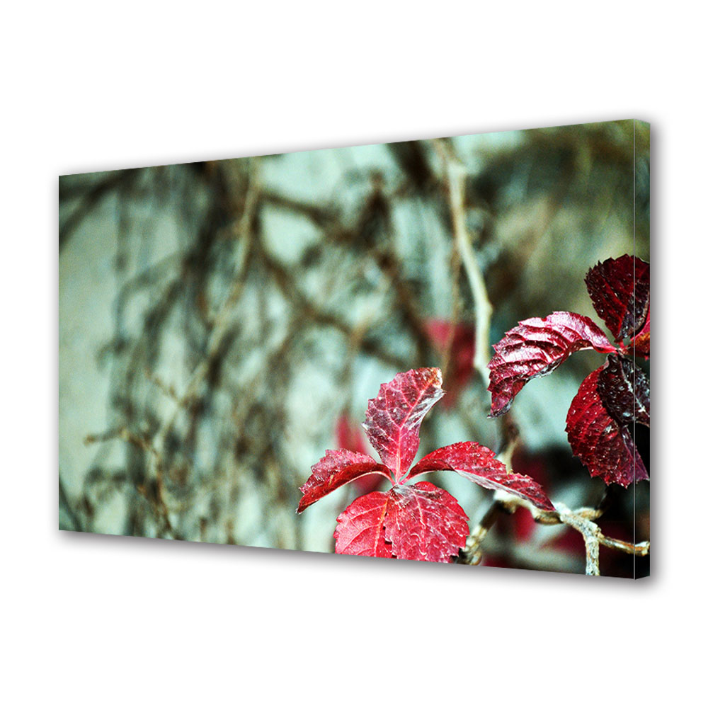 Tablou Canvas Luminos in intuneric VarioView LED, Toamna, Doua plante rosii, 40 x 60 cm