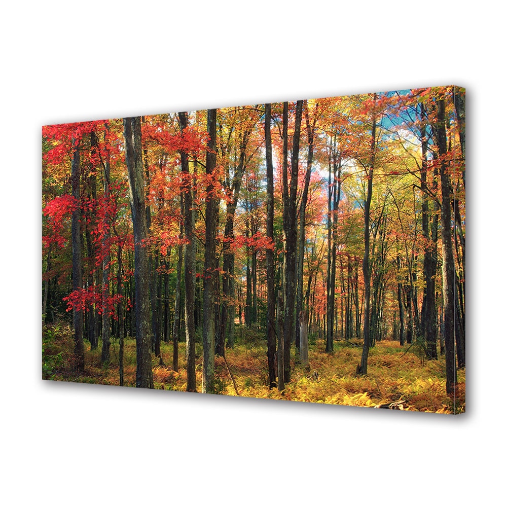 Tablou Canvas Luminos in intuneric VarioView LED, Toamna, Padure tanara, 40 x 60 cm