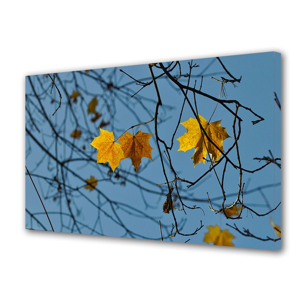 Tablou Canvas Luminos in intuneric VarioView LED, Toamna, Trei frunze de artar, 30 x 45 cm