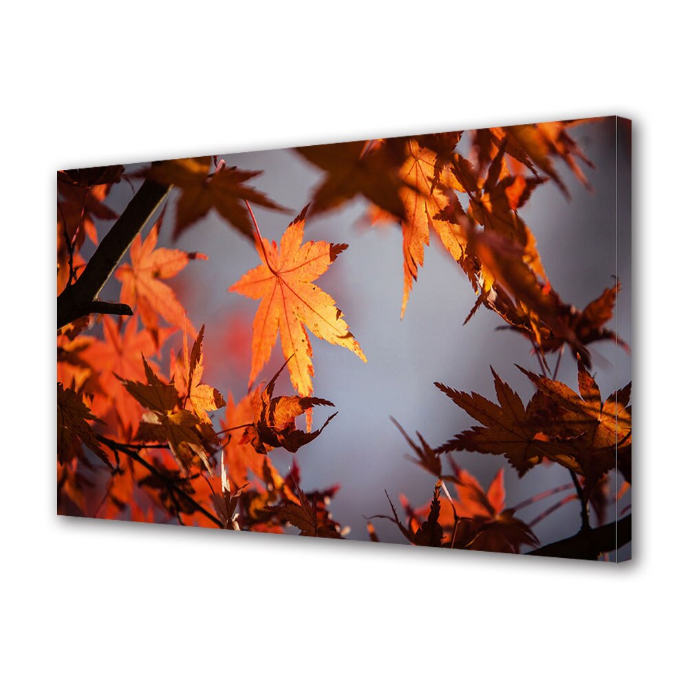Tablou Canvas Luminos in intuneric VarioView LED, Toamna, Frunze rosii in soare, 30 x 45 cm