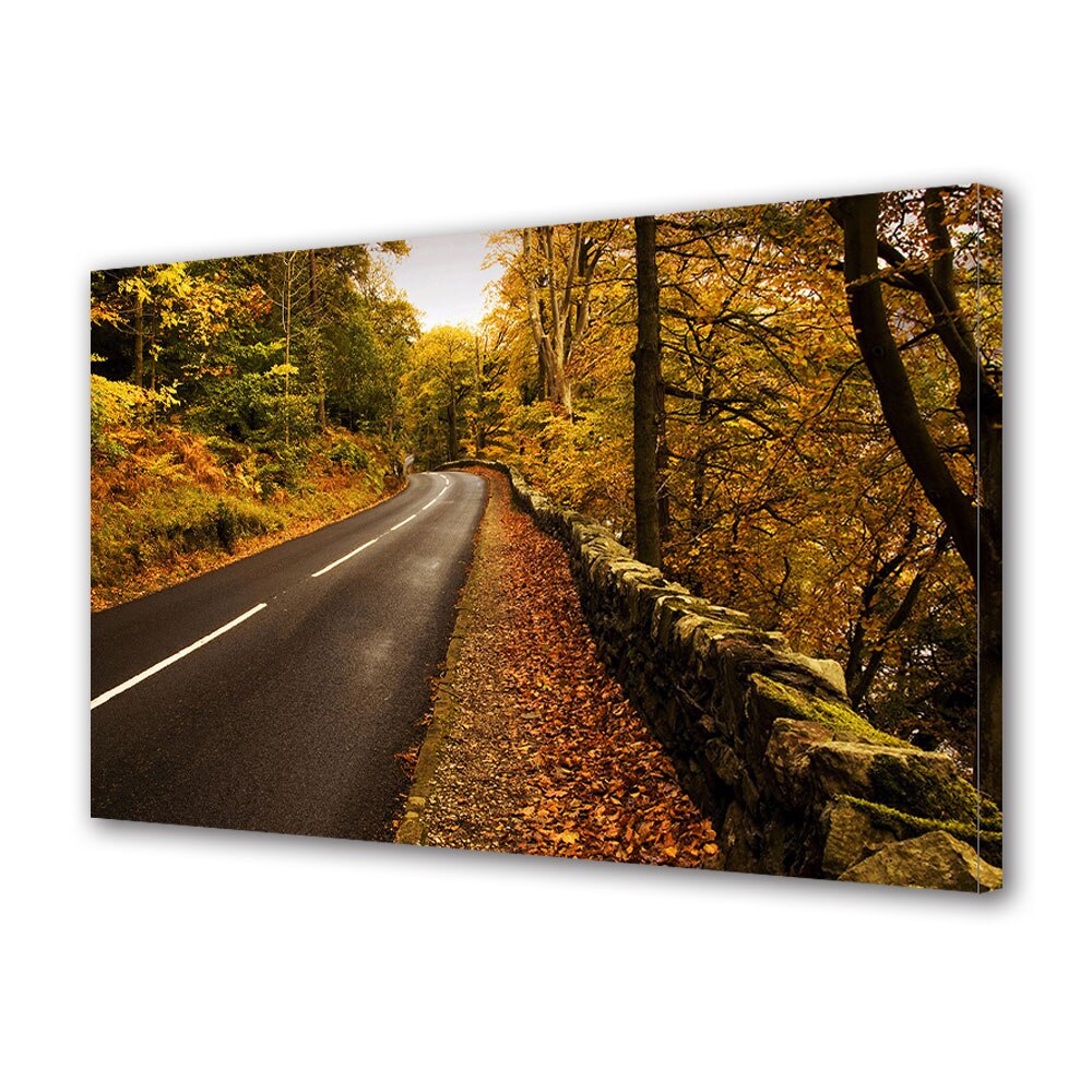 Tablou Canvas Luminos in intuneric VarioView LED, Toamna, Sosea pustie in padure, 40 x 60 cm