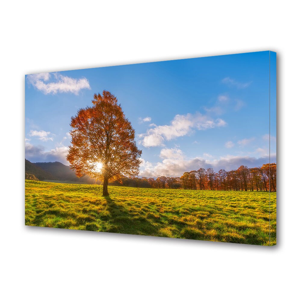 Tablou Canvas Luminos in intuneric VarioView LED, Toamna, In mijlocul poienii un copac, 30 x 45 cm