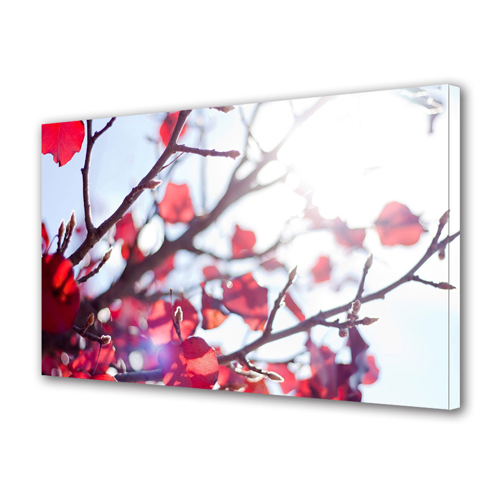 Tablou Canvas Luminos in intuneric VarioView LED, Toamna, Imbaiate in lumina, 40 x 60 cm