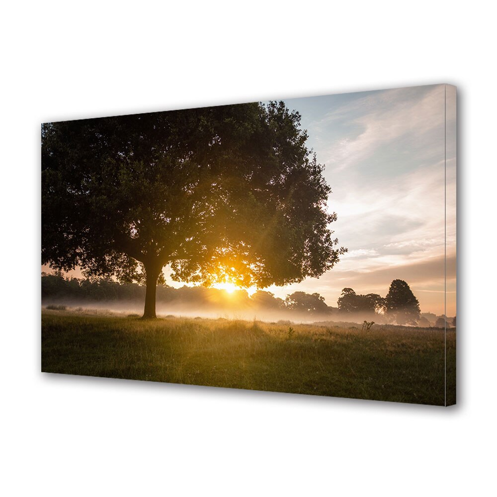Tablou Canvas Luminos in intuneric VarioView LED, Toamna, Dimineata in poiana, 30 x 45 cm