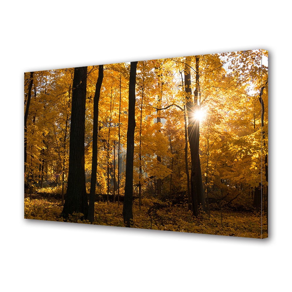 Tablou Canvas Luminos in intuneric VarioView LED, Toamna, Apus de soare in padure, 40 x 60 cm